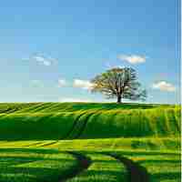 智‍能‍体‌验‌区‌